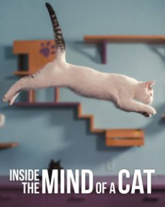 INSIDE THE MIND OF A CAT (2022) คิดแบบแมวๆ